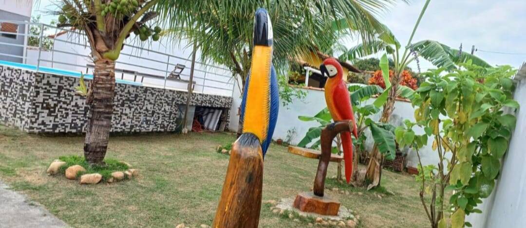 Casa, 5 quartos, 250 m² - Foto 12