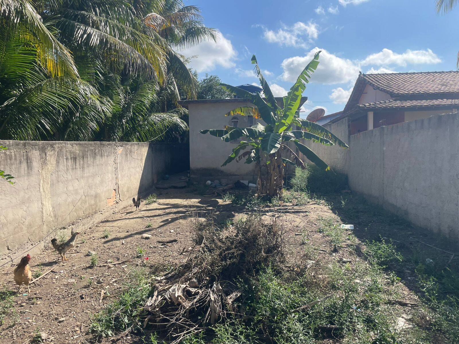 Casa, 2 quartos, 124 m² - Foto 11