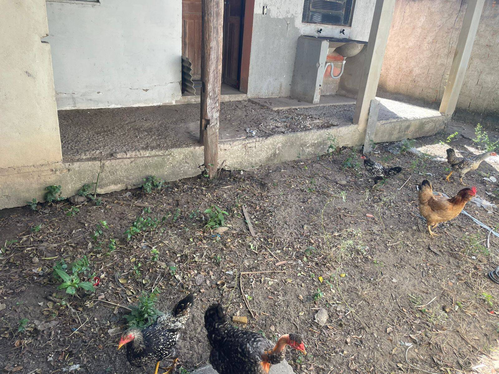 Casa, 2 quartos, 124 m² - Foto 17