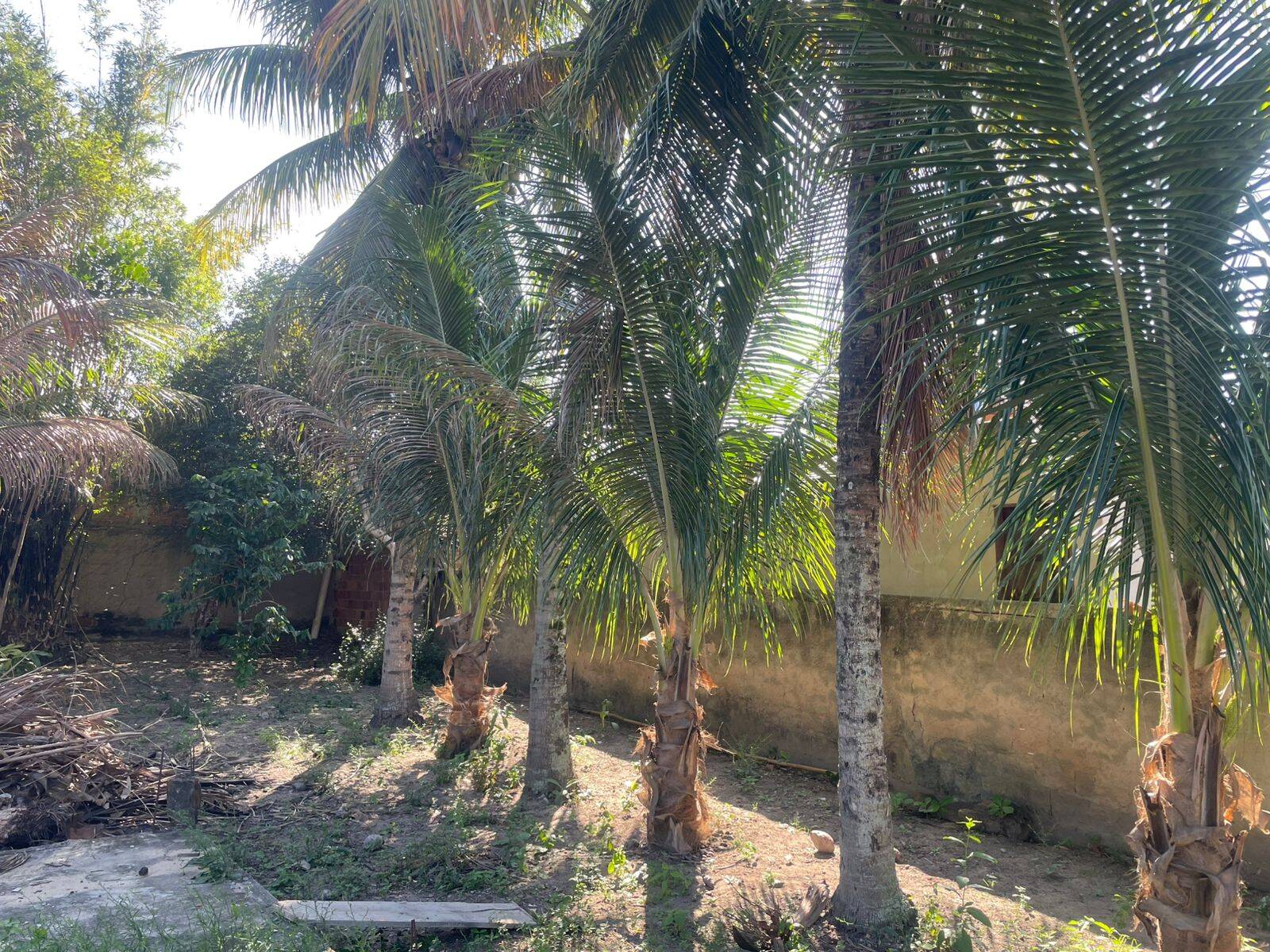 Terreno, 437 m² - Foto 1