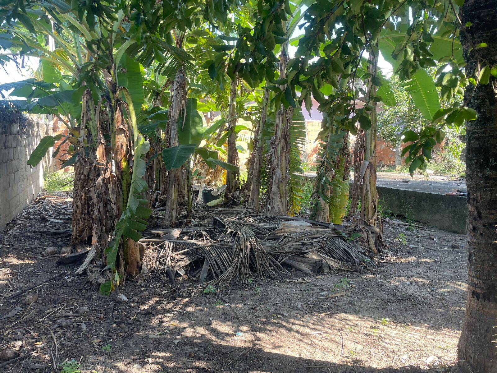 Terreno, 437 m² - Foto 21