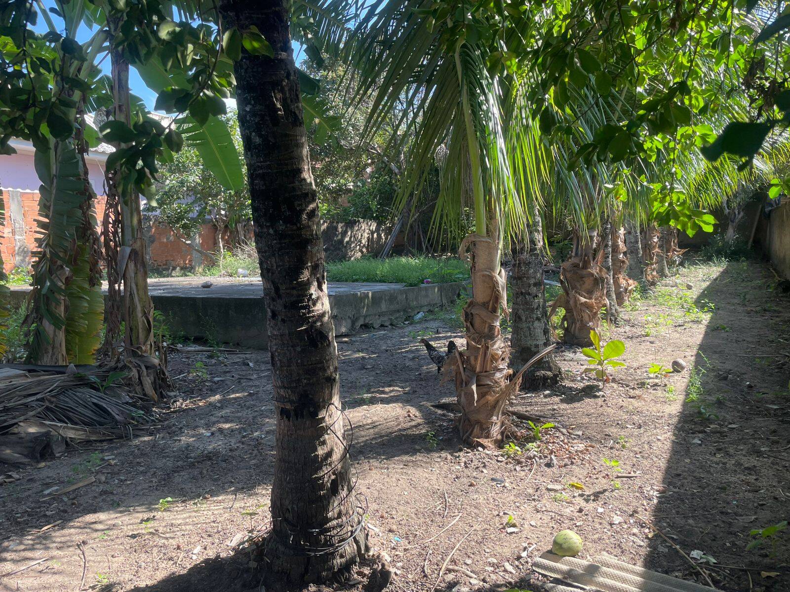 Terreno, 437 m² - Foto 7