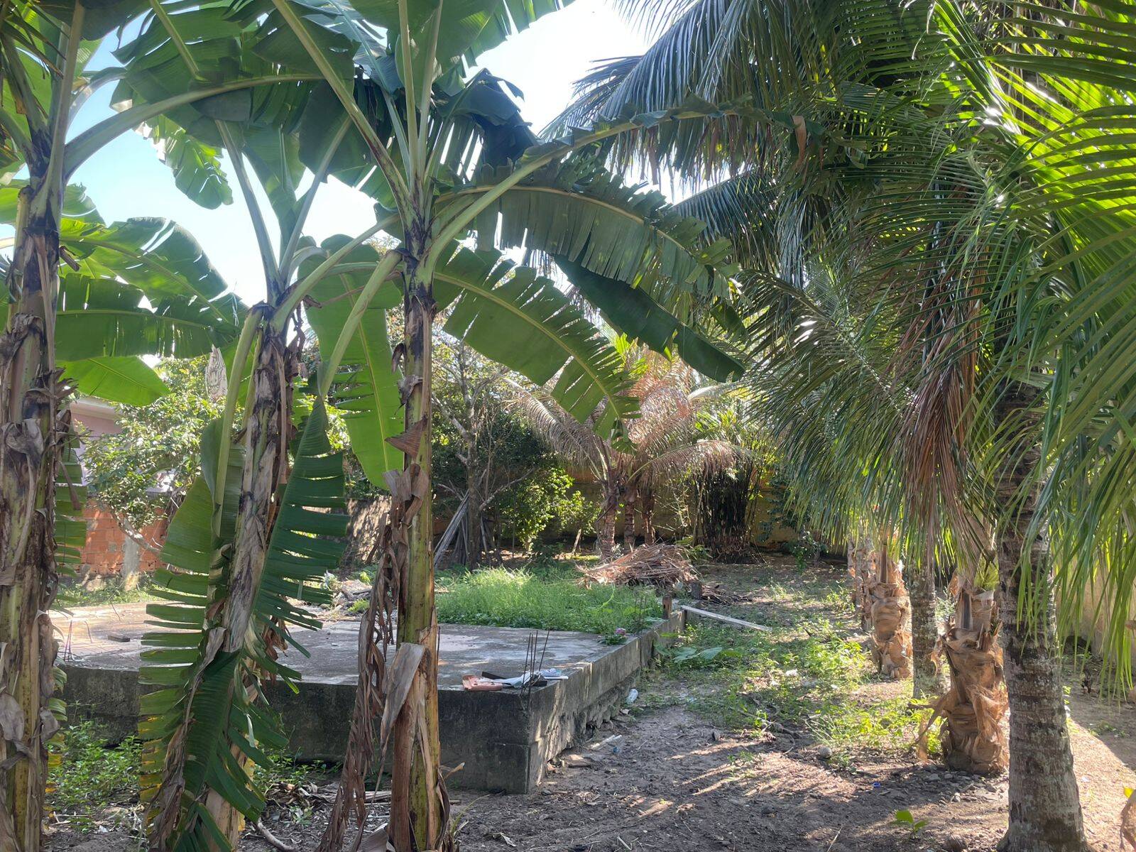 Terreno, 437 m² - Foto 9