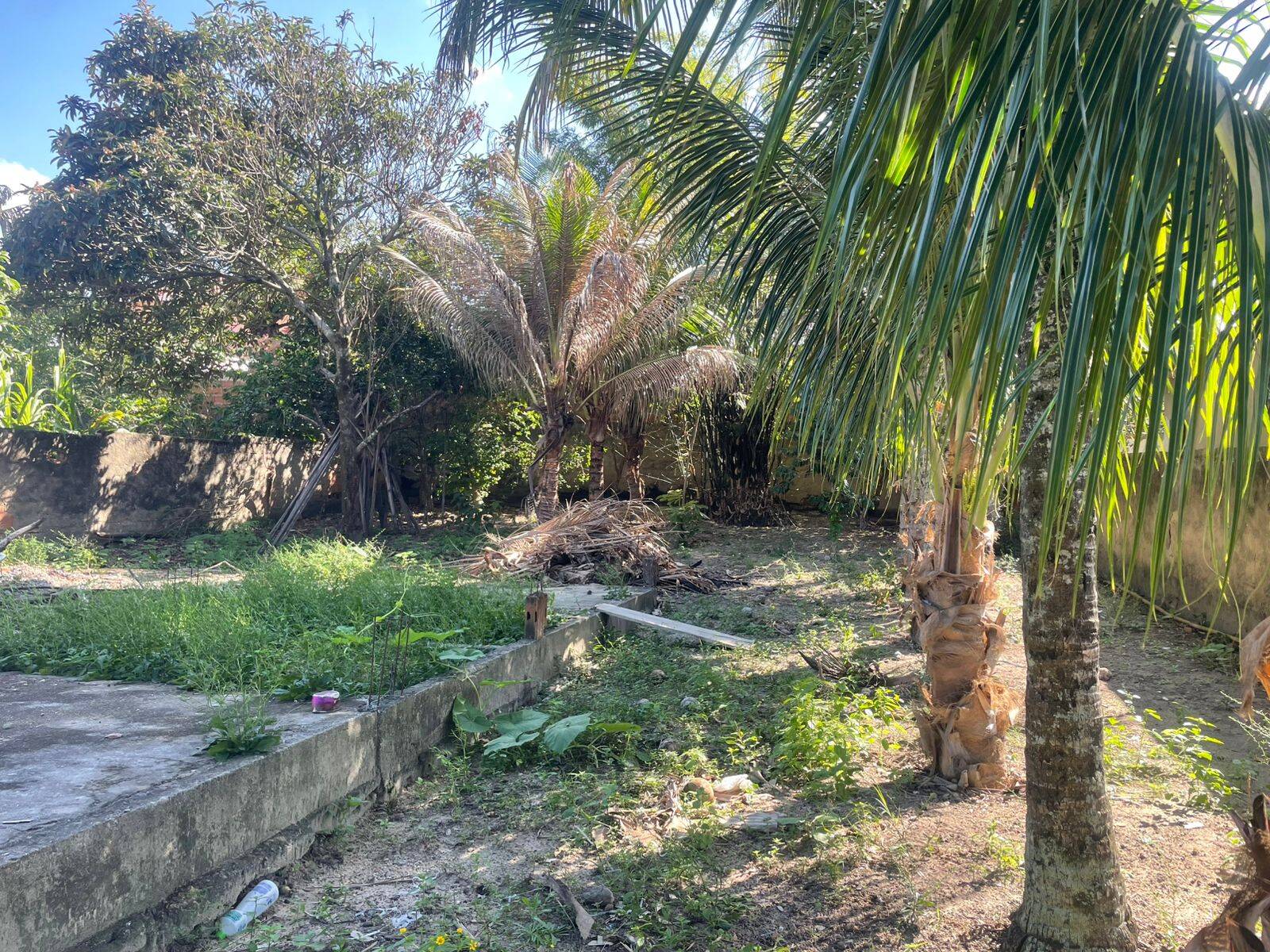 Terreno, 437 m² - Foto 12