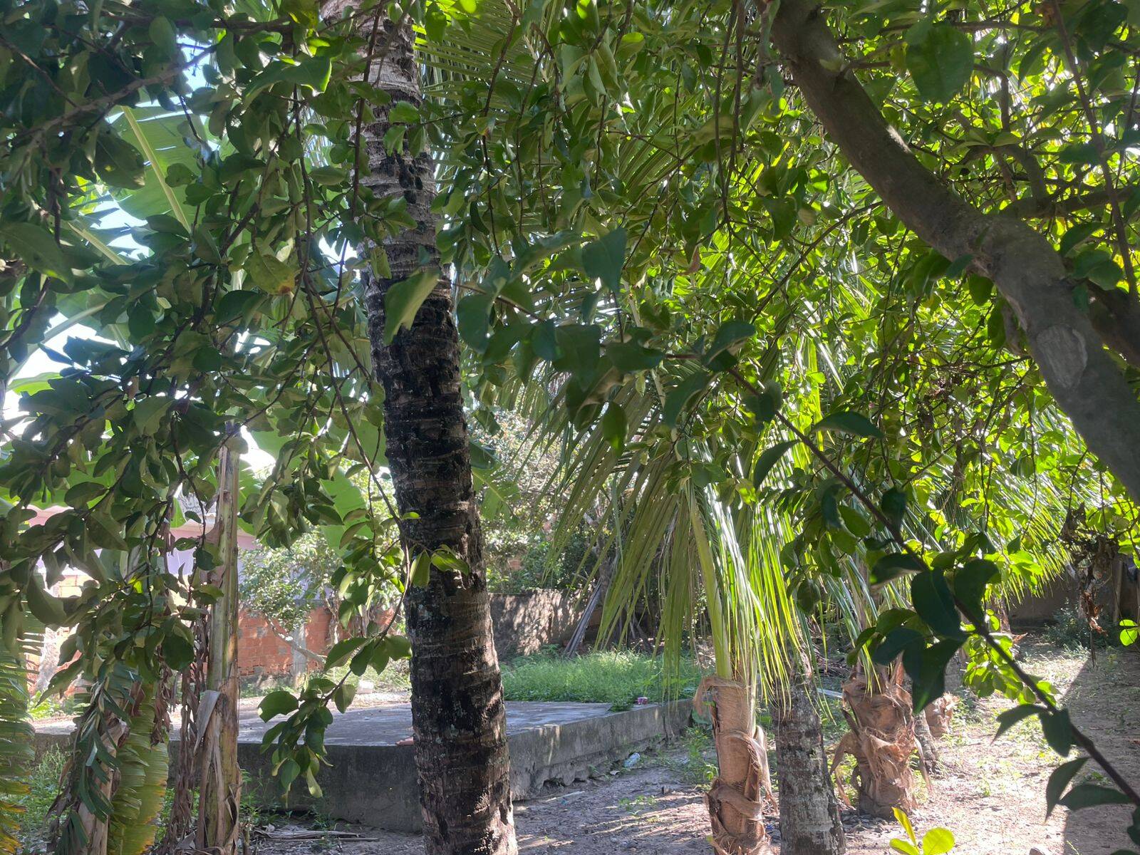 Terreno, 437 m² - Foto 18