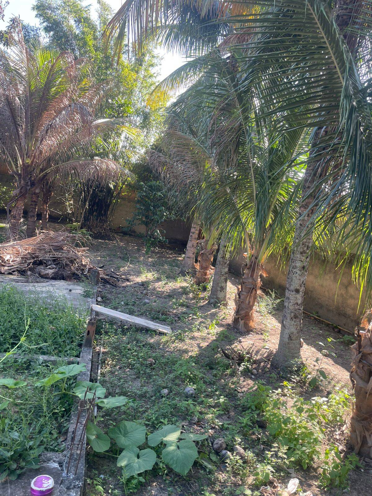 Terreno, 437 m² - Foto 24