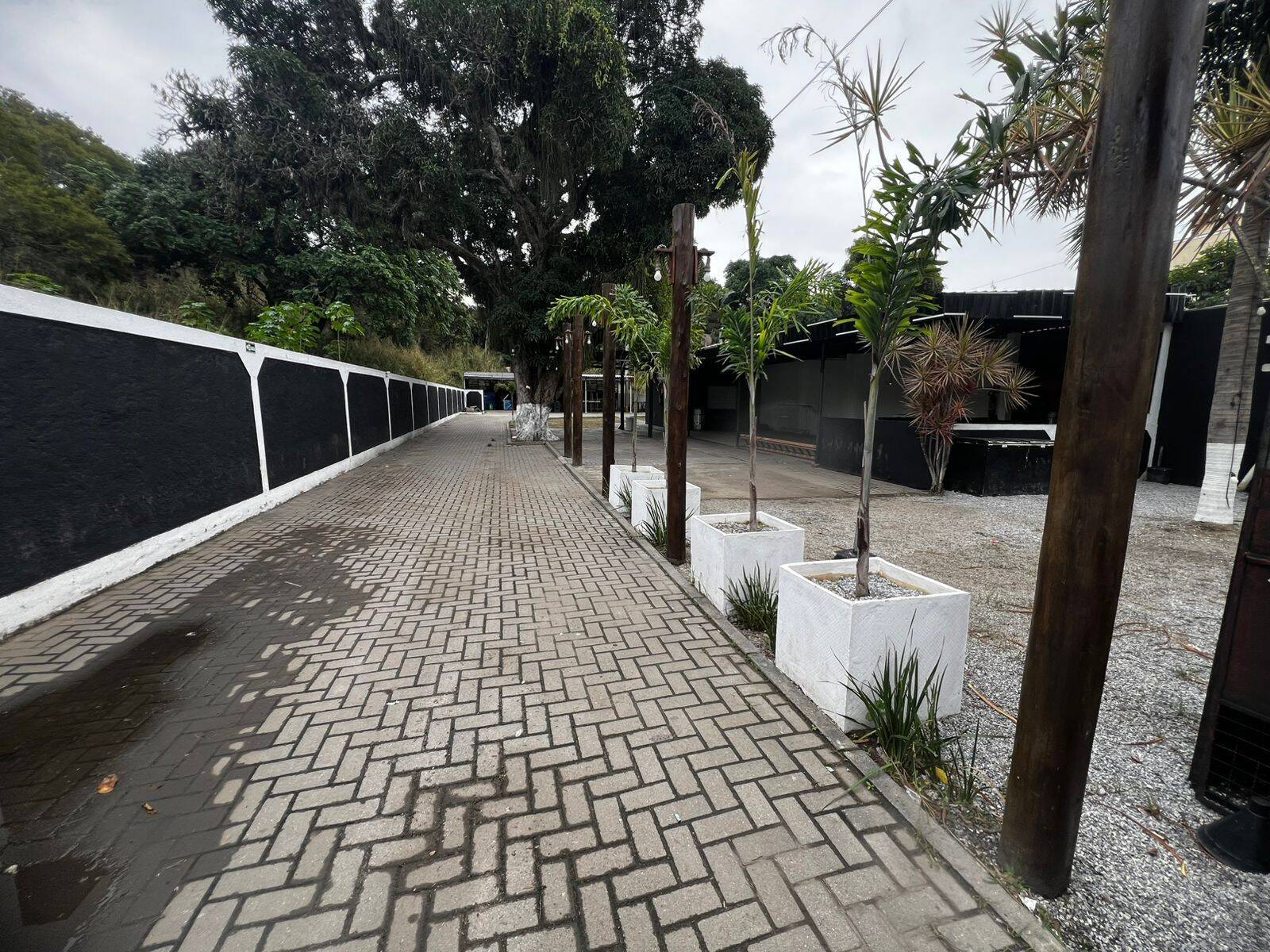 Depósito-Galpão, 600 m² - Foto 3