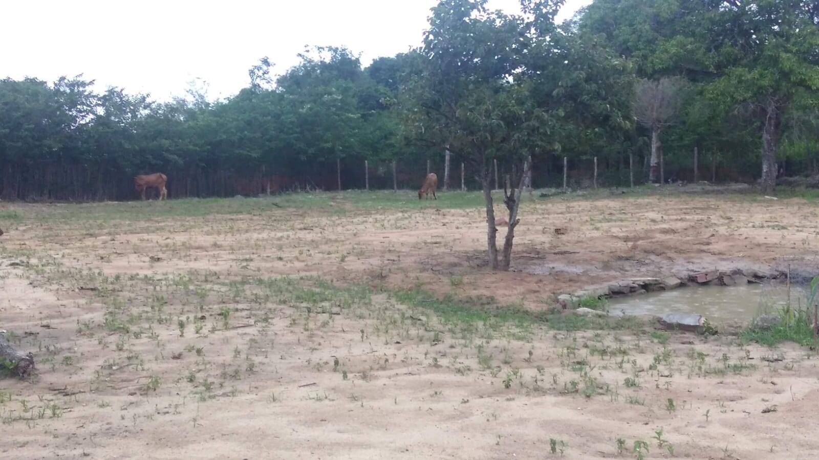Terreno à venda, 8320m² - Foto 3