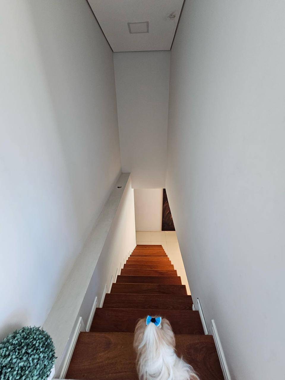 Casa à venda com 2 quartos, 1323376m² - Foto 6