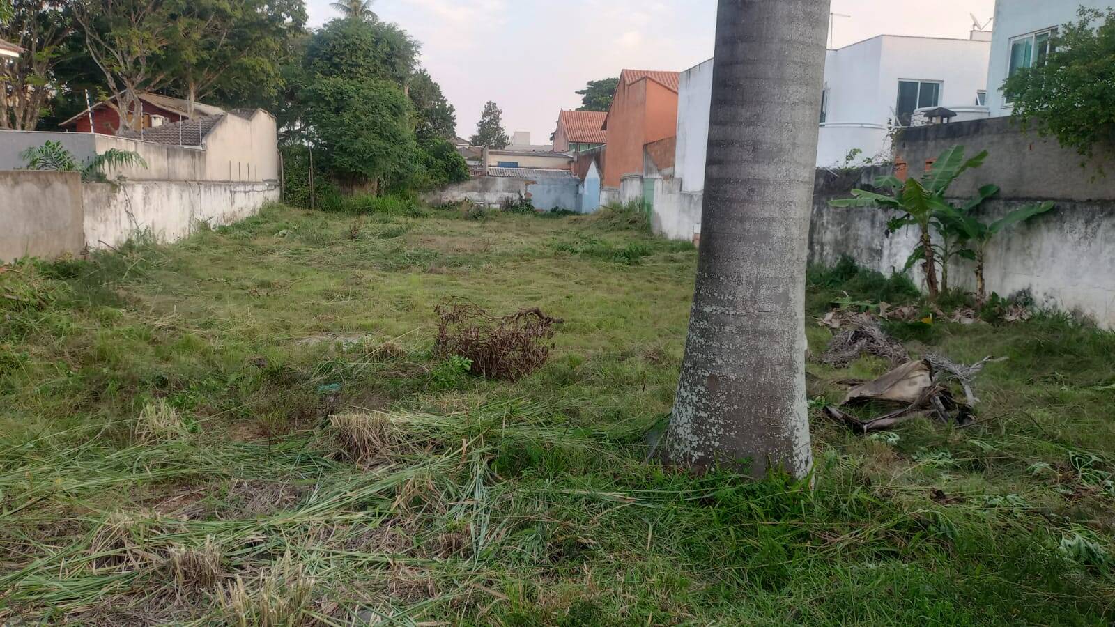 Terreno à venda, 995m² - Foto 2