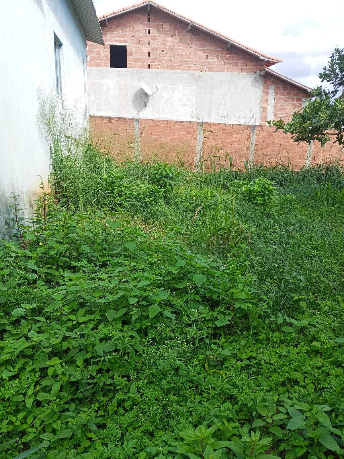 Casa, 3 quartos, 10 m² - Foto 17