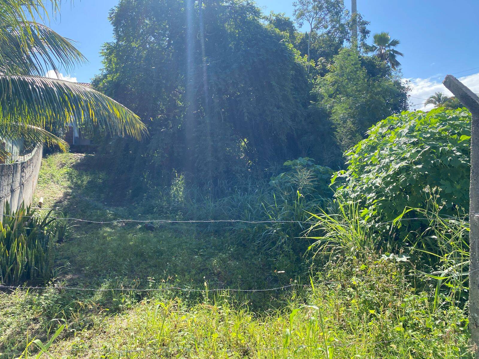 Terreno, 491 m² - Foto 2