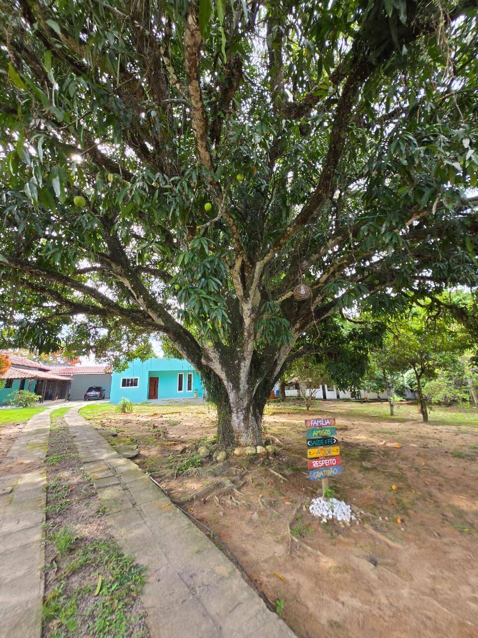 Sítio à venda com 7 quartos, 5000m² - Foto 27