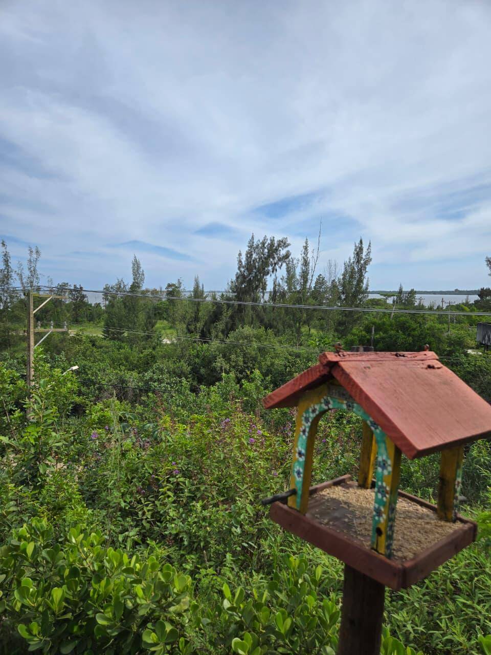 Sítio à venda com 7 quartos, 5000m² - Foto 33