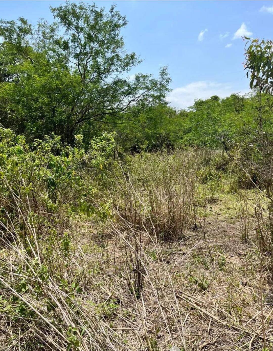 Terreno, 1 hectares - Foto 3