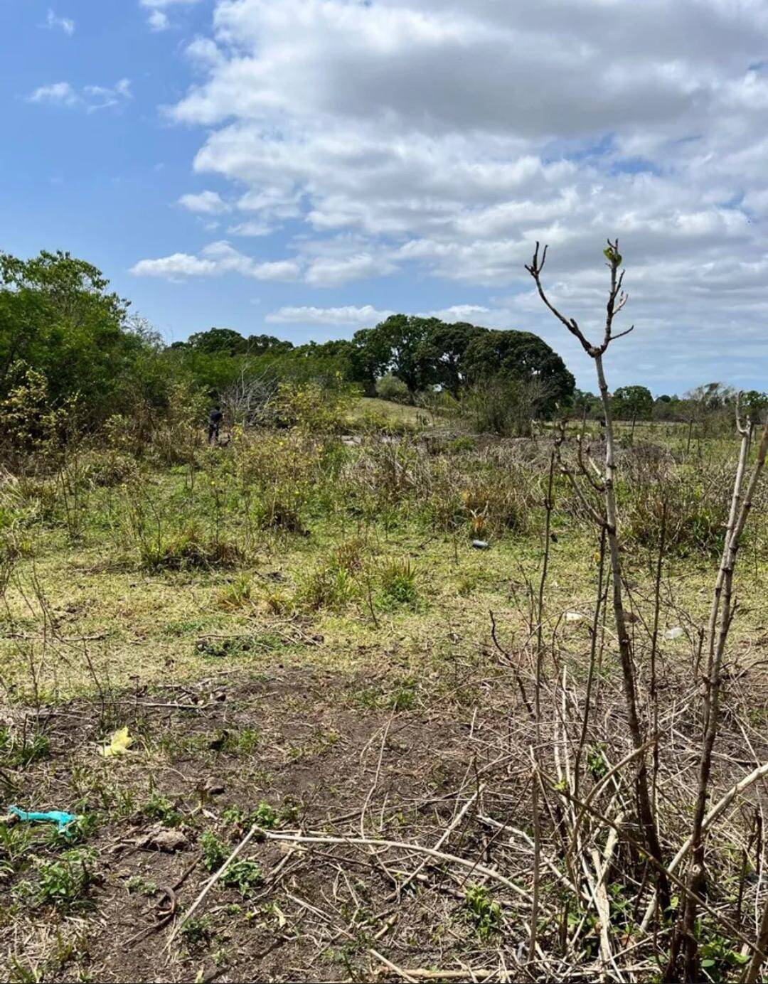 Terreno, 1 hectares - Foto 2