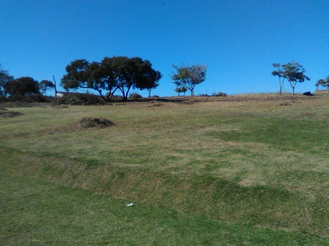 Terreno, 5 hectares - Foto 3