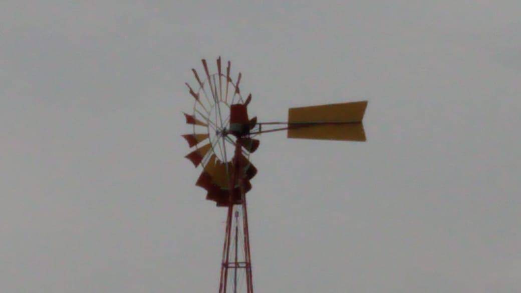 Terreno, 5 hectares - Foto 17