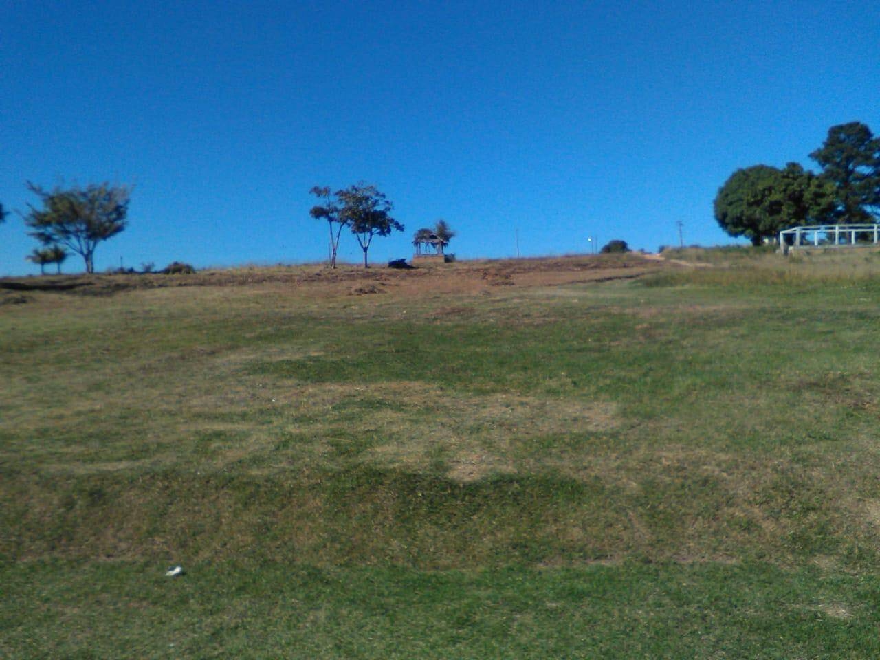 Terreno, 5 hectares - Foto 4