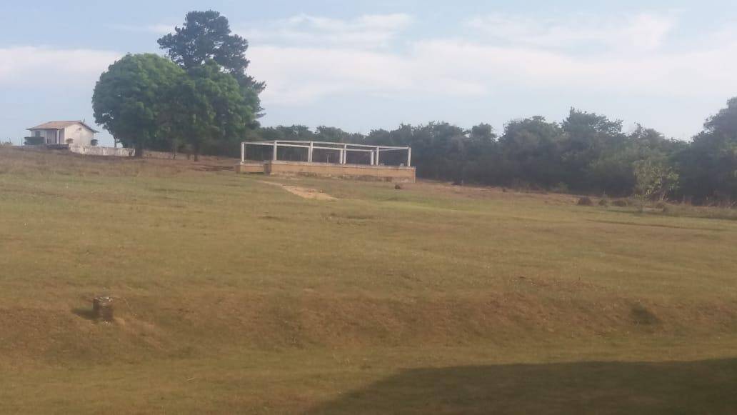 Terreno, 5 hectares - Foto 9