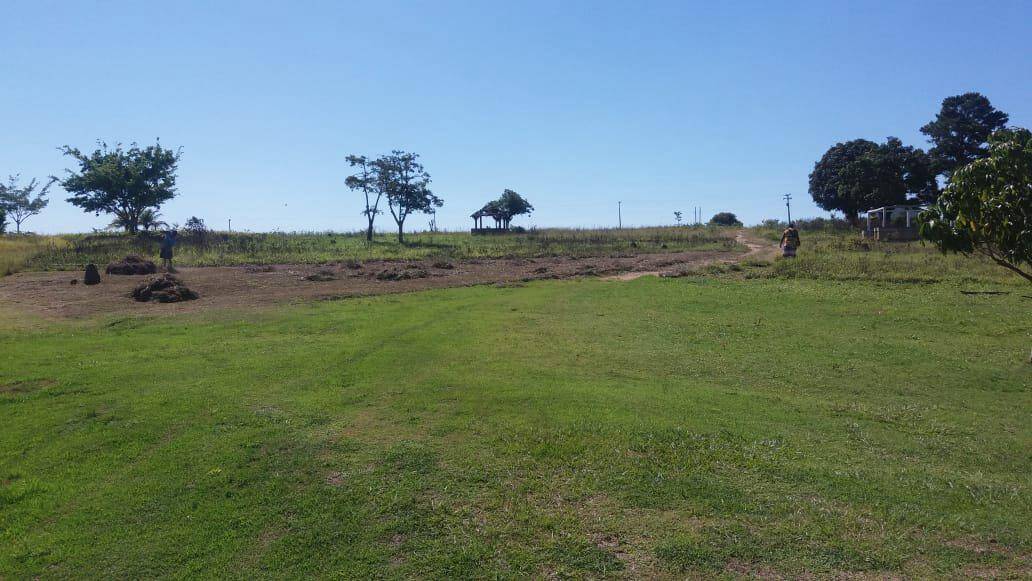 Terreno, 5 hectares - Foto 10