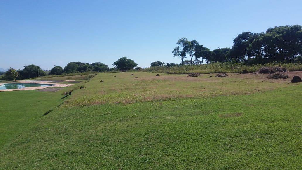 Terreno, 5 hectares - Foto 11