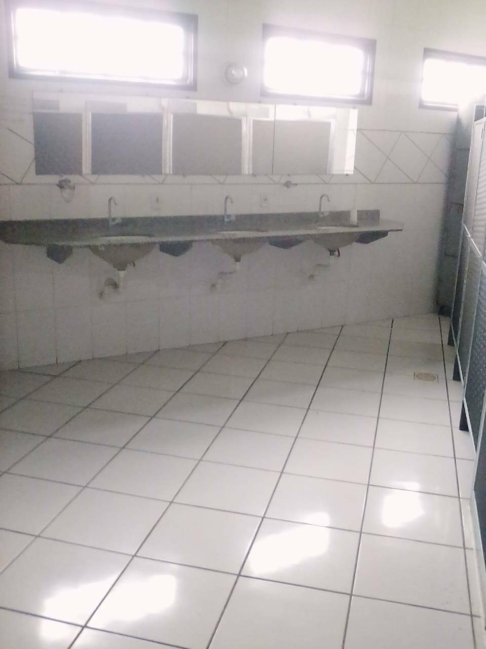 Terreno, 5 hectares - Foto 8