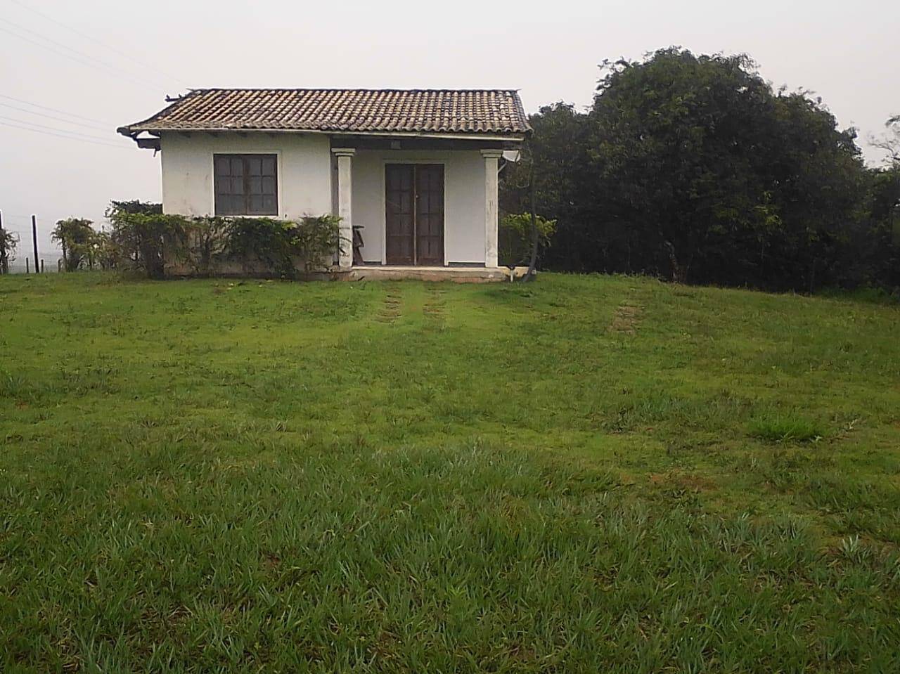 Terreno, 5 hectares - Foto 14