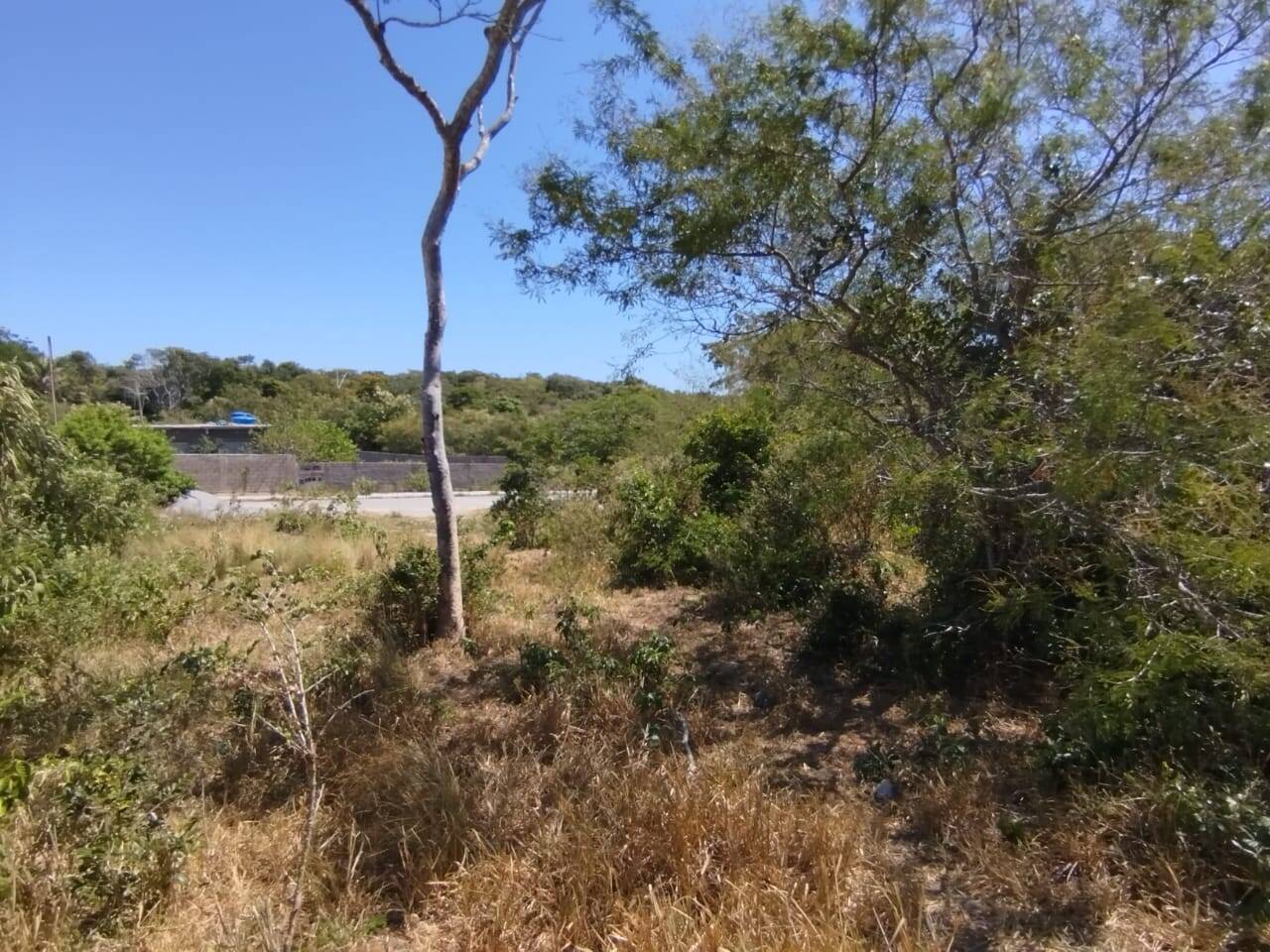 Terreno, 480 m² - Foto 2