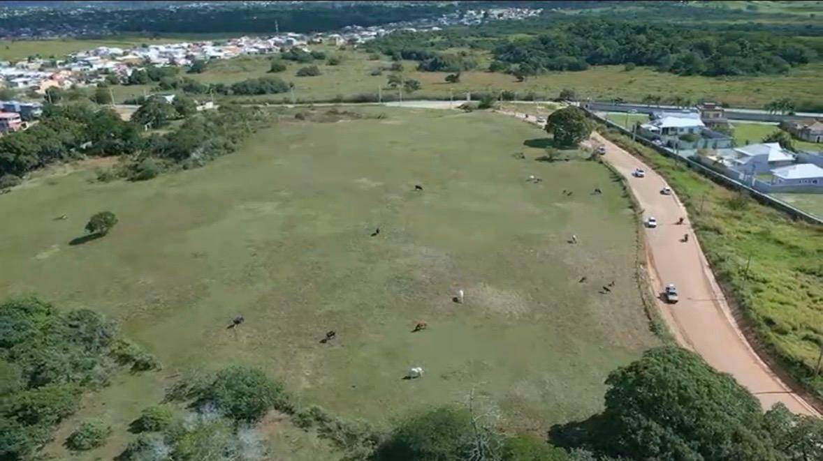 Terreno, 3 hectares - Foto 1