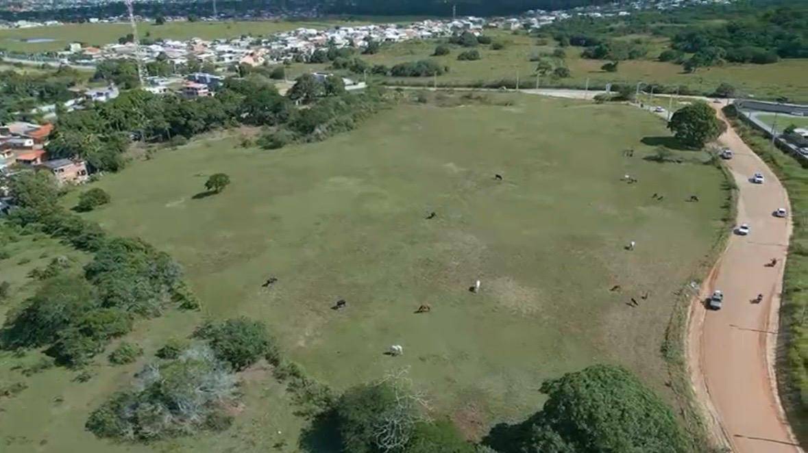 Terreno, 3 hectares - Foto 7