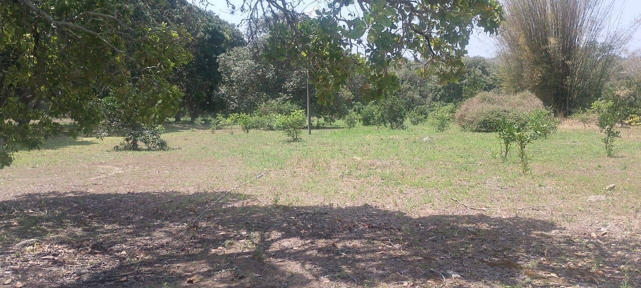 Casa, 2 quartos, 90 m² - Foto 41