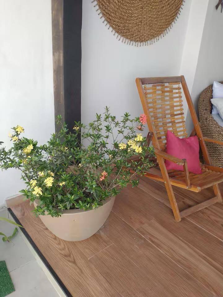 Casa, 1 quarto, 36 m² - Foto 32