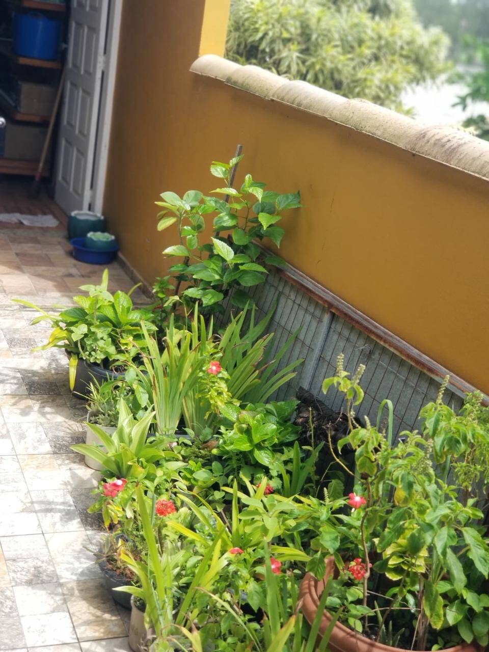 Casa, 4 quartos, 113 m² - Foto 31