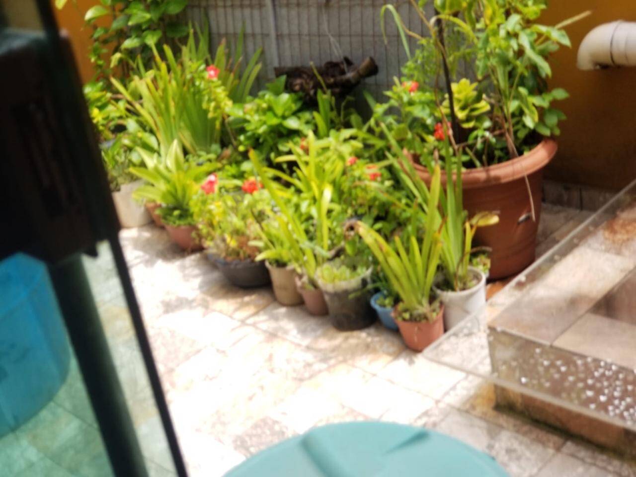 Casa, 4 quartos, 113 m² - Foto 32