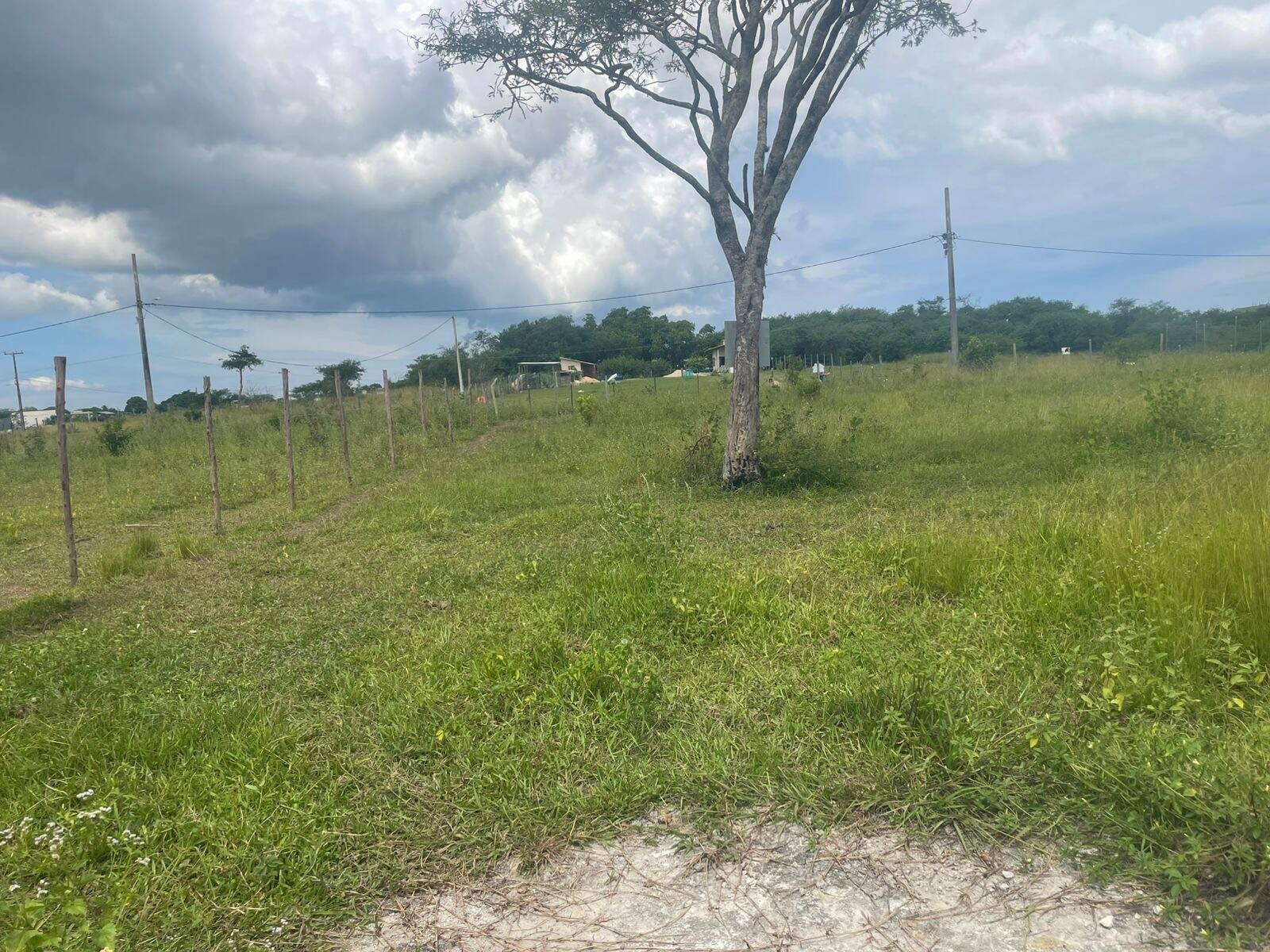 Terreno, 2000 m² - Foto 3
