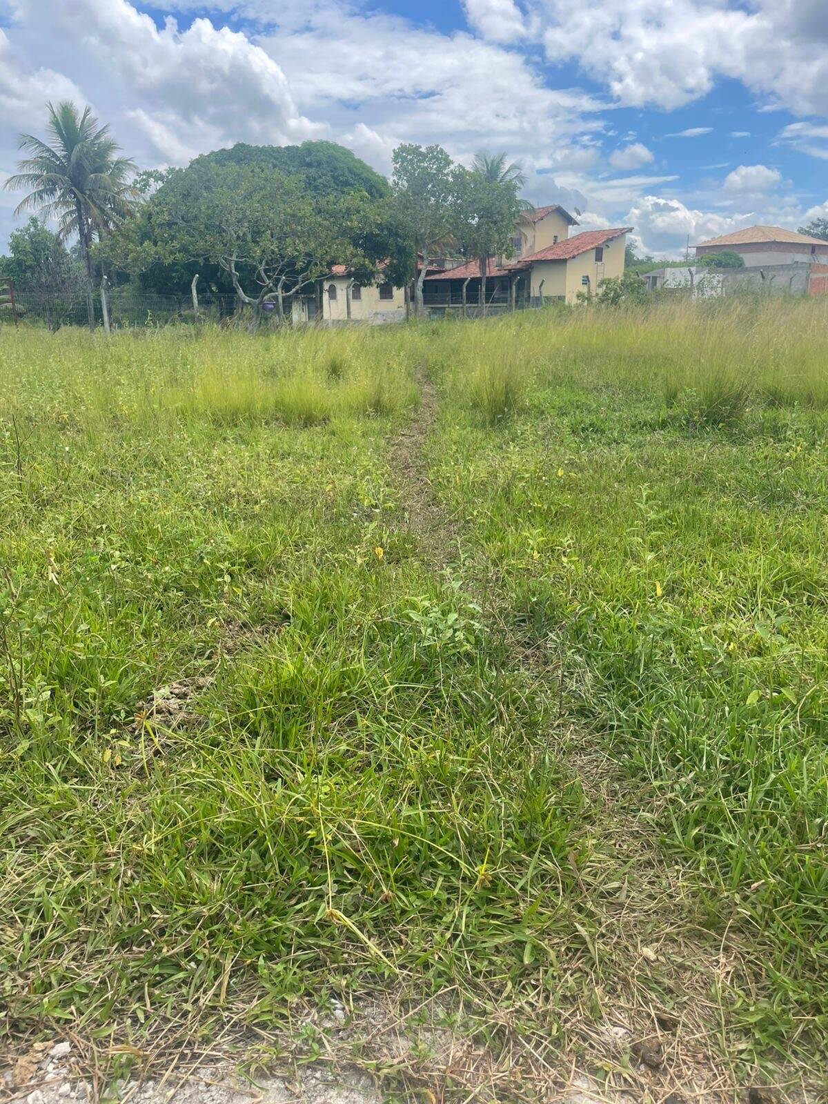 Terreno, 2000 m² - Foto 2