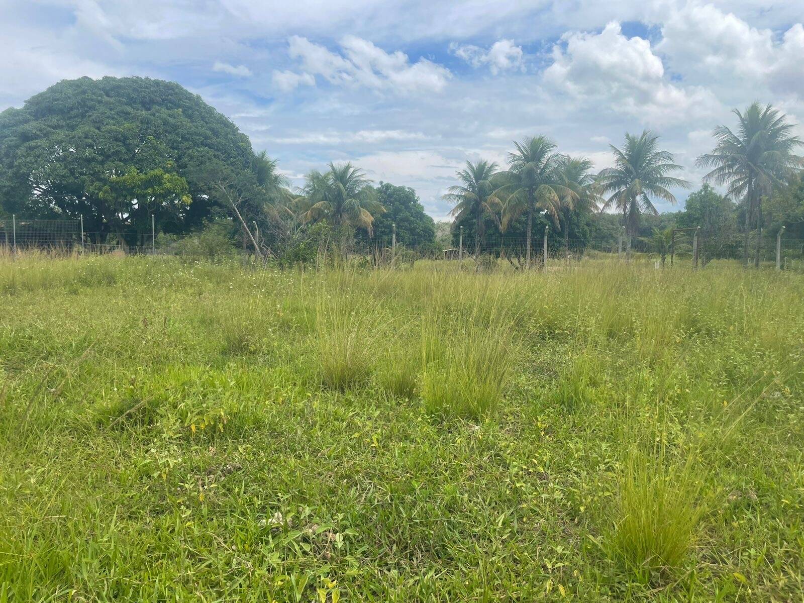 Terreno, 2000 m² - Foto 7