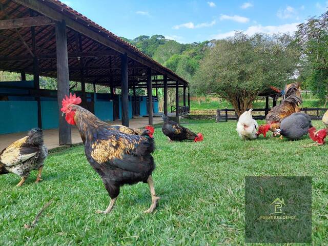 Chácara para Venda em Cachoeiras de Macacu - 5