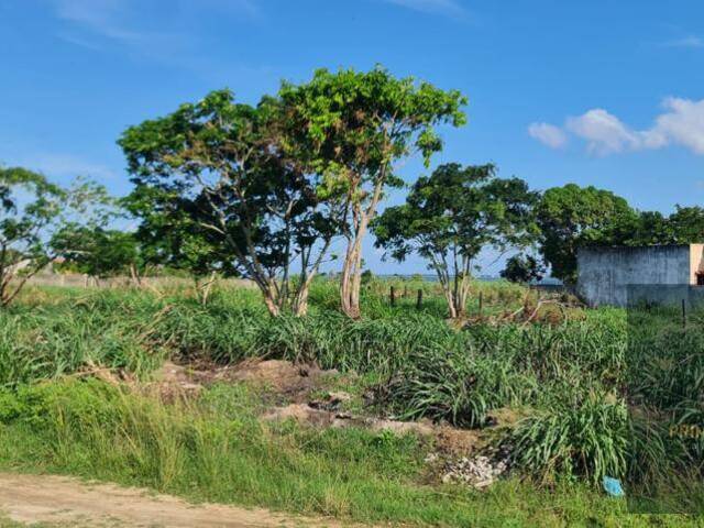 Terreno para Venda em Araruama - 5