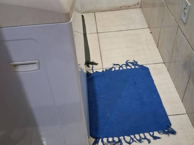Casa para Locação em Araruama - 4