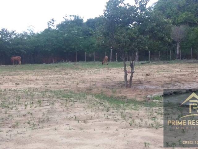 #TE0289 - Área para Venda em Araruama - RJ - 3