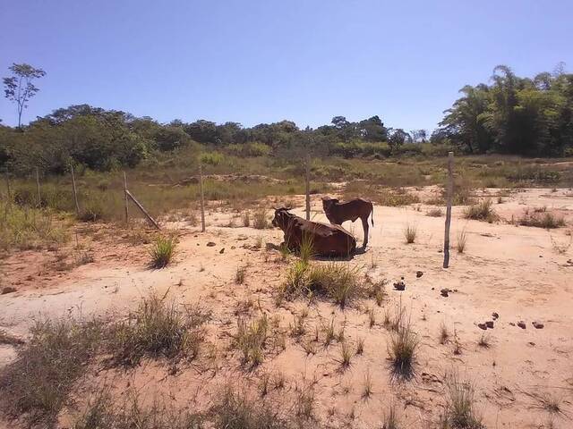 Área para Venda em Araruama - 4