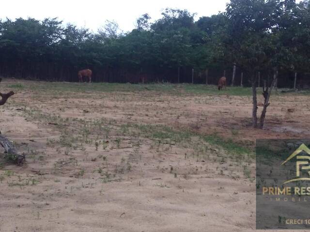 Área para Venda em Araruama - 5