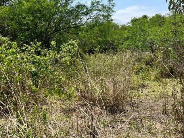 #TE0321 - Área para Venda em Araruama - RJ - 3
