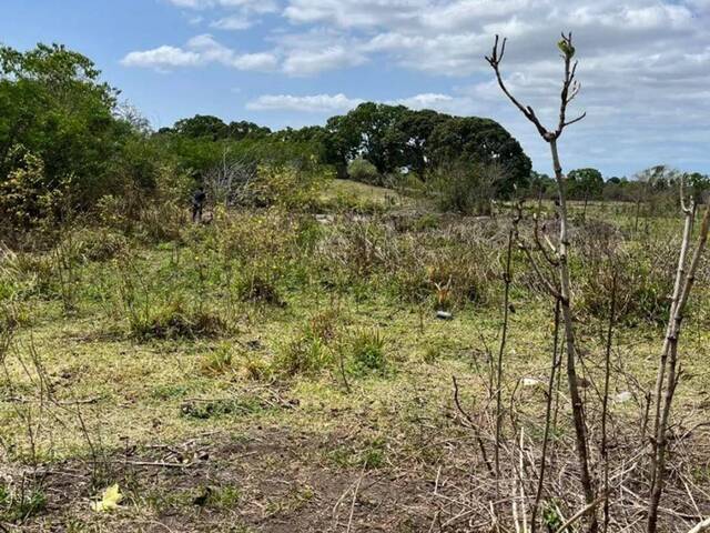 #TE0321 - Área para Venda em Araruama - RJ - 2